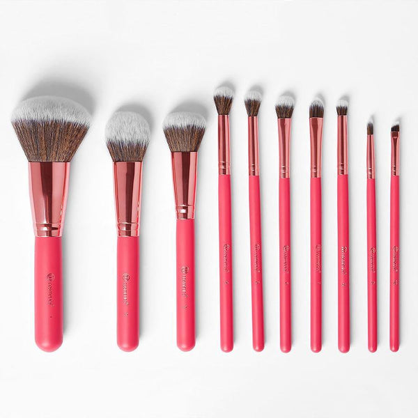 bh Bombshell beauty 10 pieces brush set with bag